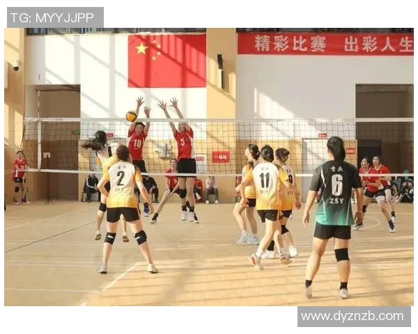 重庆排球队实力解析与发展前景探讨聚焦排球运动的未来之路 重庆排球队实力解析与发展前景探讨聚焦排球运动的未来之路