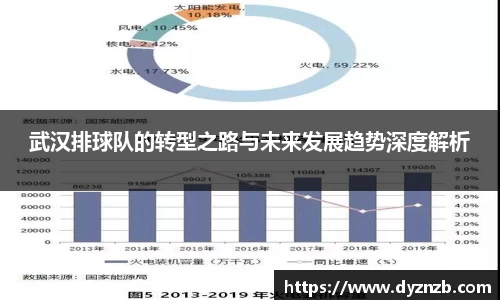 武汉排球队的转型之路与未来发展趋势深度解析